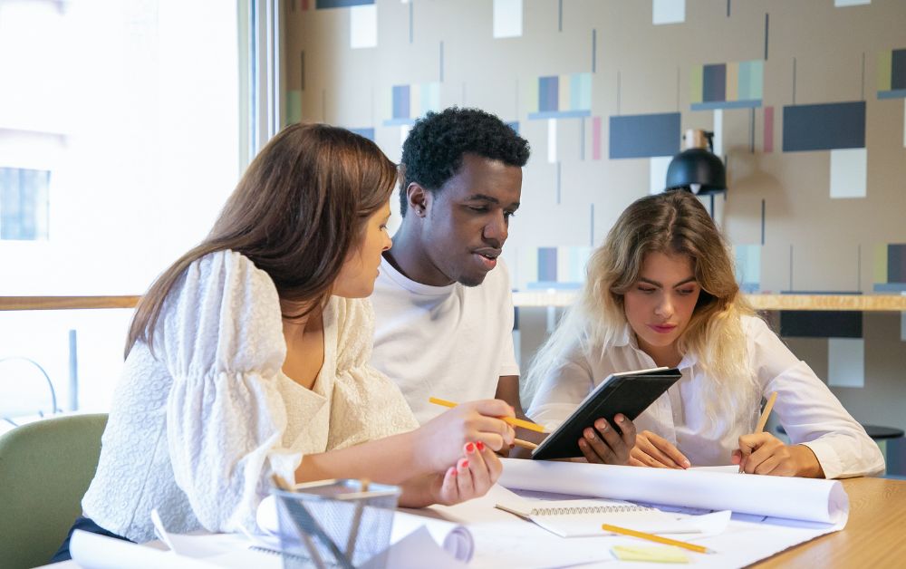 IB business students